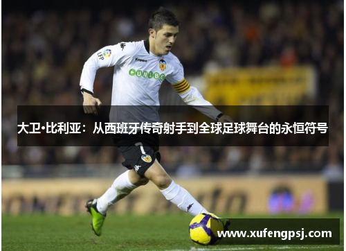 大卫·比利亚：从西班牙传奇射手到全球足球舞台的永恒符号