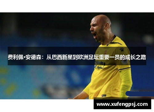 费利佩·安德森：从巴西新星到欧洲足坛重要一员的成长之路