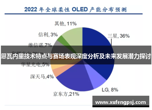 恩瓦内里技术特点与赛场表现深度分析及未来发展潜力探讨