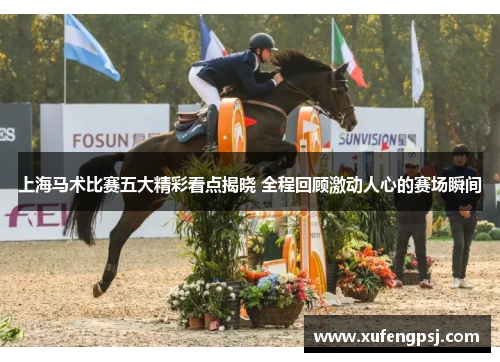 上海马术比赛五大精彩看点揭晓 全程回顾激动人心的赛场瞬间