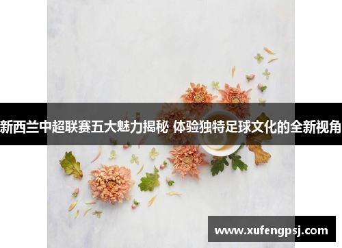 新西兰中超联赛五大魅力揭秘 体验独特足球文化的全新视角