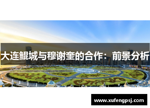 大连鲲城与穆谢奎的合作：前景分析