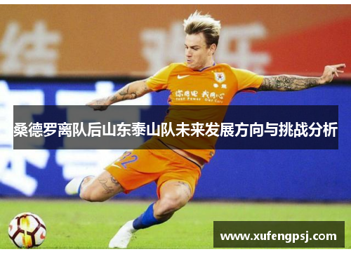 桑德罗离队后山东泰山队未来发展方向与挑战分析