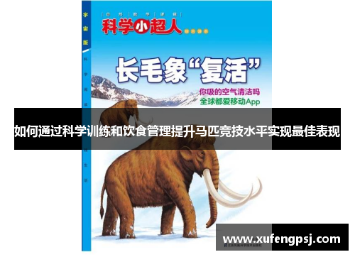 如何通过科学训练和饮食管理提升马匹竞技水平实现最佳表现