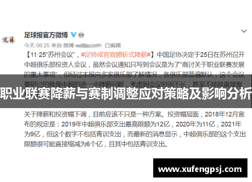 职业联赛降薪与赛制调整应对策略及影响分析