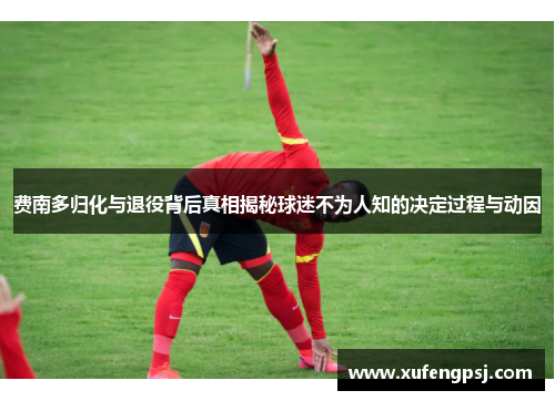 费南多归化与退役背后真相揭秘球迷不为人知的决定过程与动因